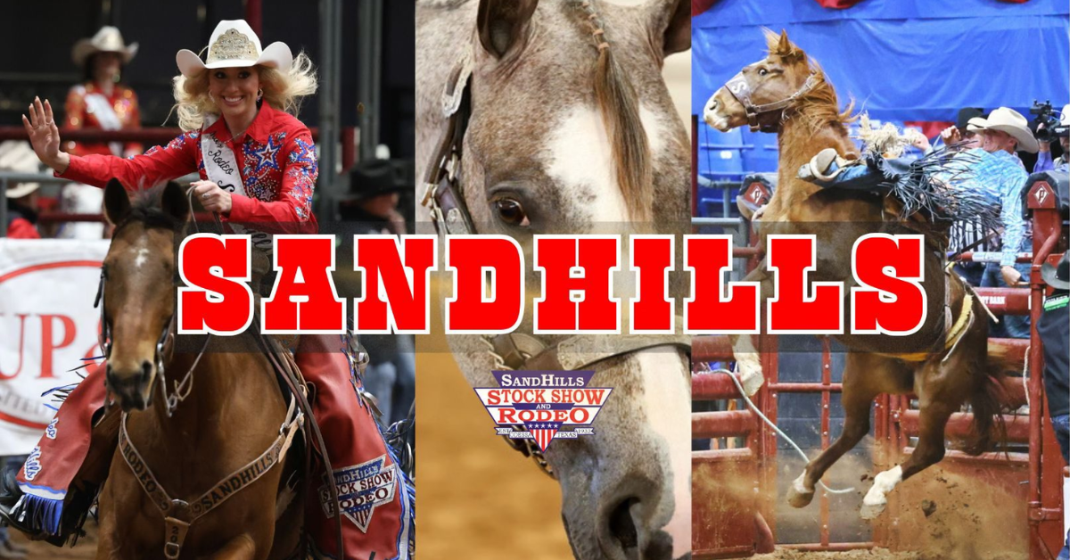 Untitled design (17)